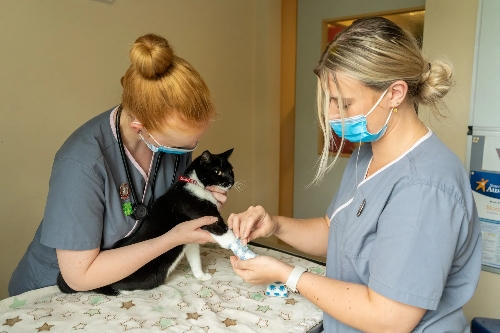 vaccinations-062de8892d540e