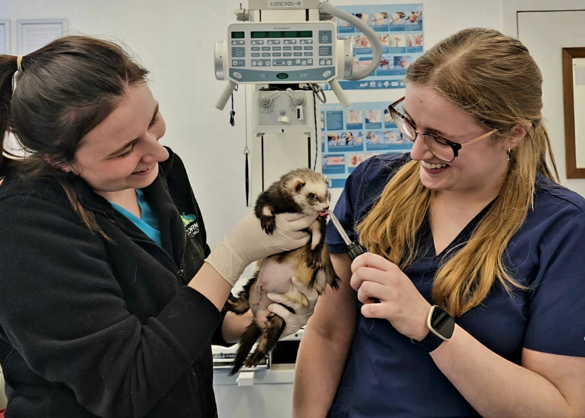 Easily register your pet with our practice.