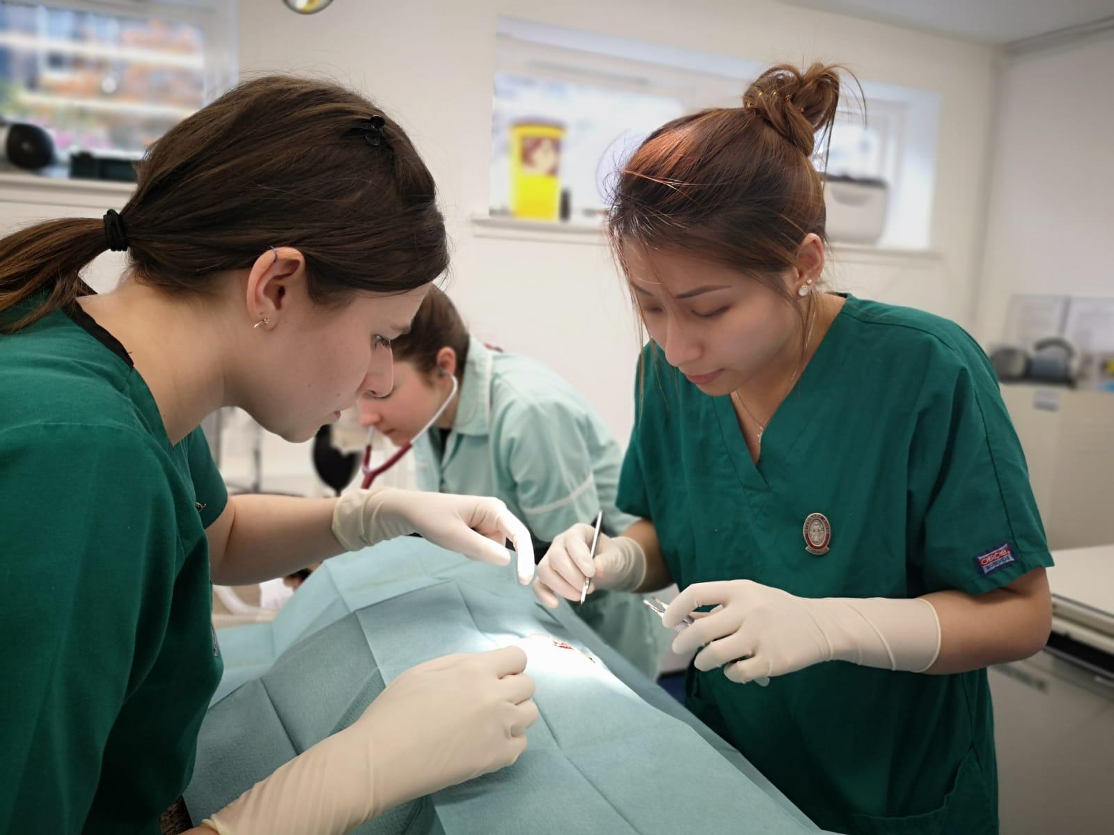 Explore our routine, diagnostic and surgical services.